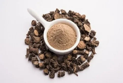 Black Musli, Black Musli Powder, Musli Powder