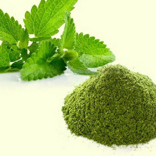 Mint Powder (Podina Powder) 100g