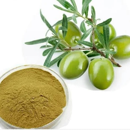 Powder, Olive Leaf, Olive Leaf Powder