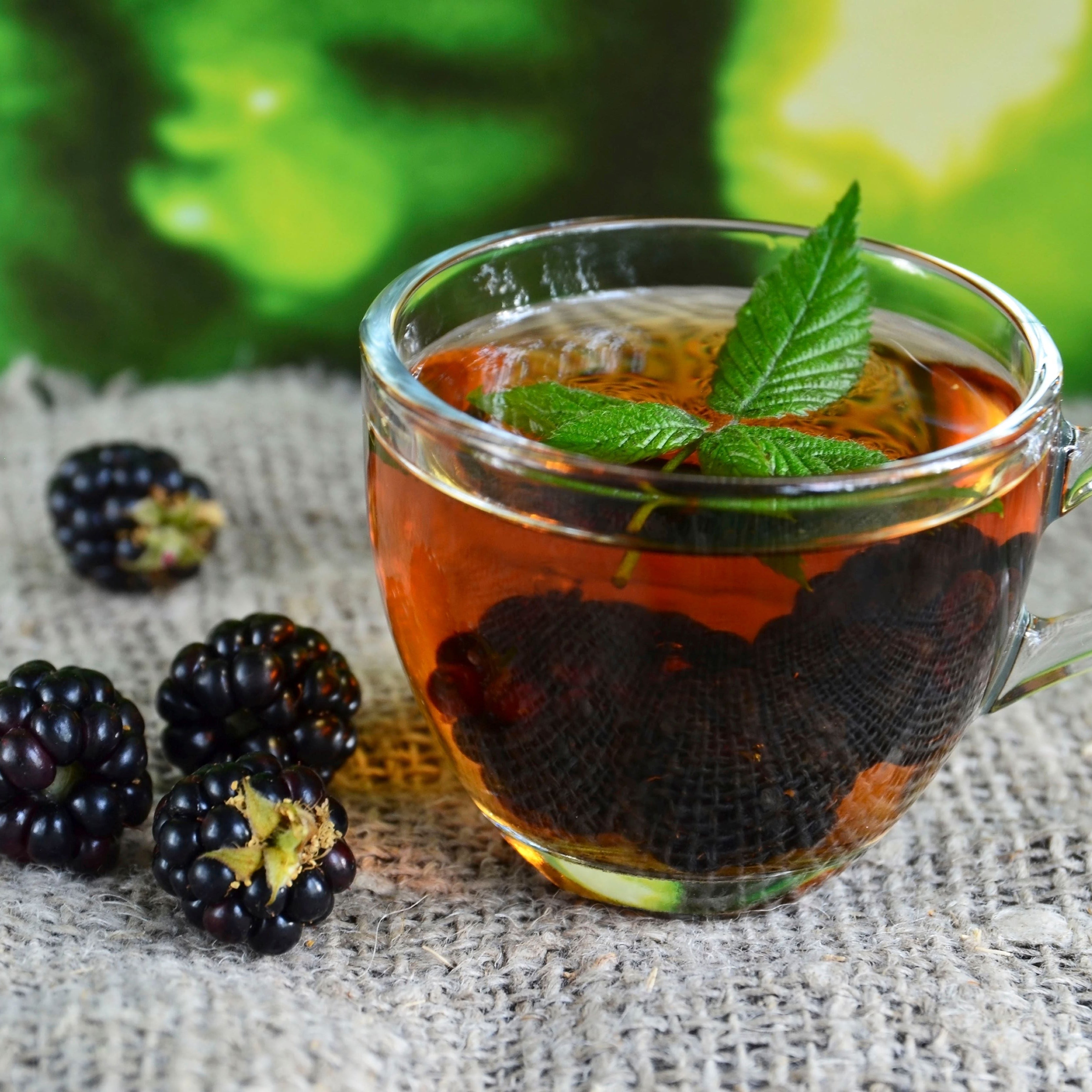 Blackberry Leaves Tea