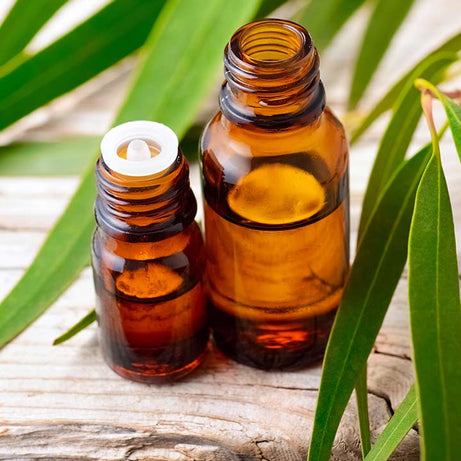 Cold Pressed Oil, Eucalyptus, Eucalyptus Oil