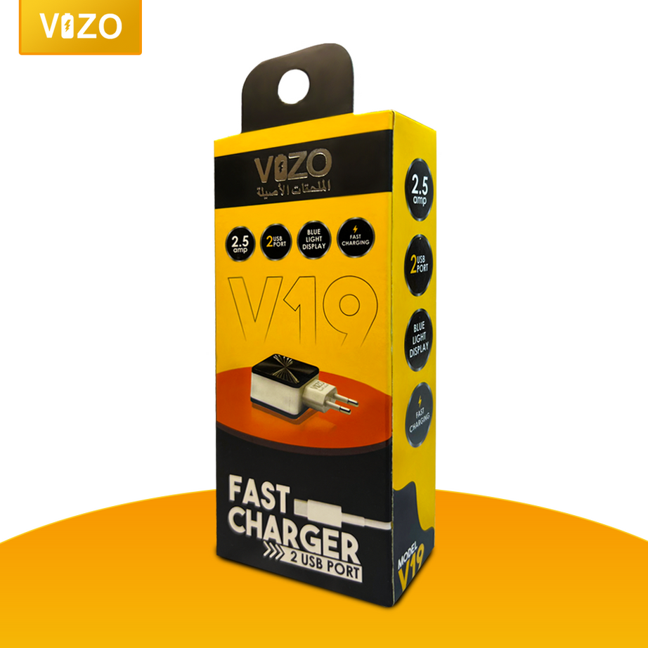 VIZO V19 Fast Charger