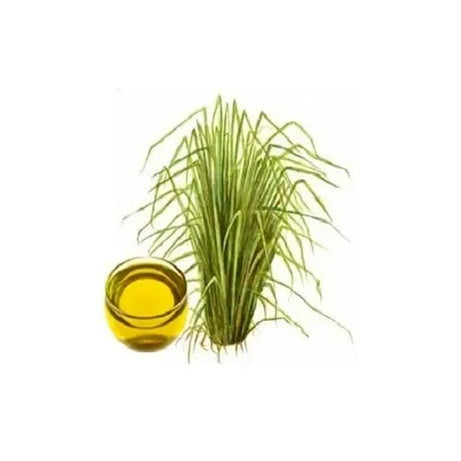 Khus Oil / Vetiver Oil 120ml